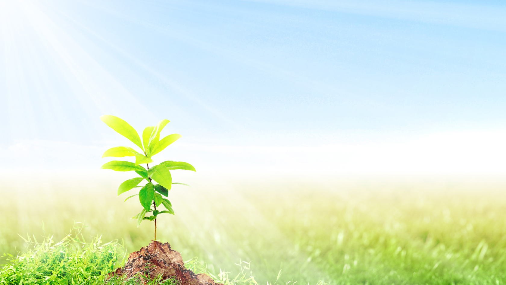 ２０２６年＜本学会奨励賞募集＞について